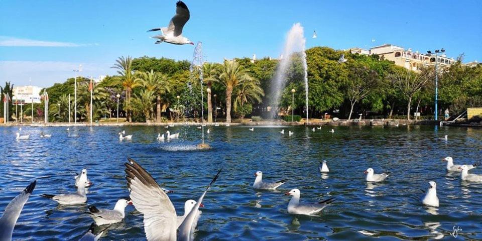شقة Torrevieja Experience Bonn المظهر الخارجي الصورة